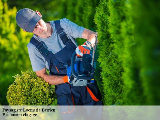 Paysagiste locmaria-berrien-29690 Beaumann elagage