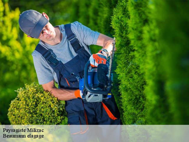 Paysagiste milizac-29290 Beaumann elagage