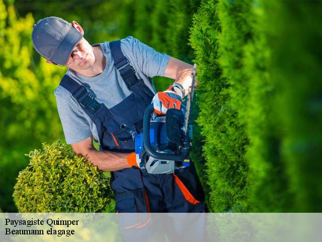 Paysagiste quimper-29000 Beaumann elagage