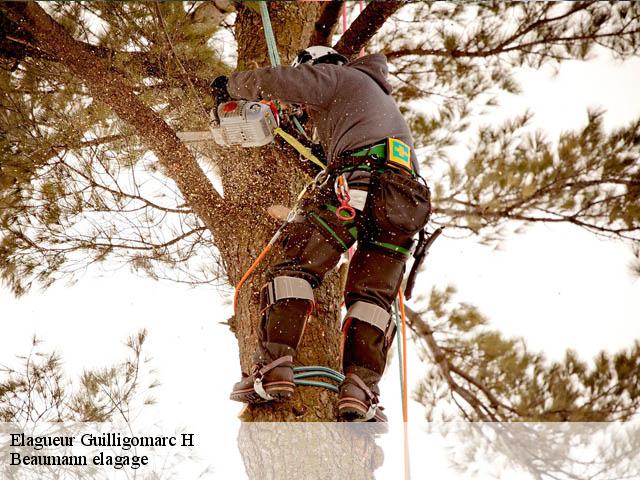 Elagueur guilligomarc-h-29300 Beaumann elagage