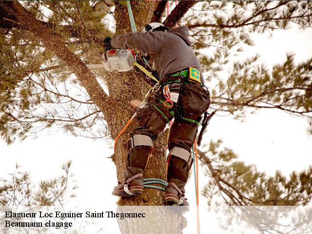 Elagueur loc-eguiner-saint-thegonnec-29410