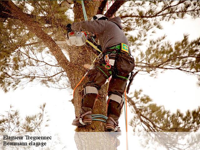 Elagueur treguennec-29720 Beaumann elagage