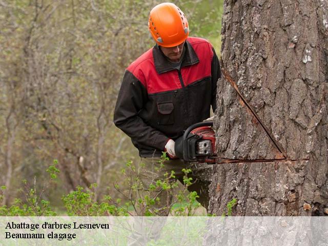 Abattage d'arbres lesneven-29260 Beaumann elagage