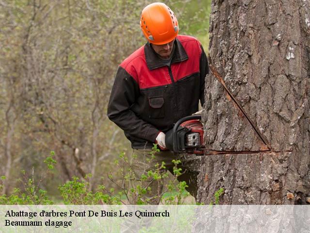 Abattage d'arbres  pont-de-buis-les-quimerch-29590 Beaumann elagage