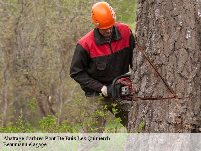Abattage d'arbres pont-de-buis-les-quimerch-29590 Beaumann elagage