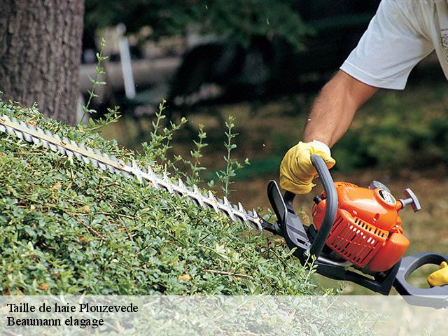 Taille de haie plouzevede-29440 Beaumann elagage