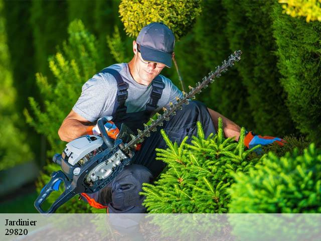 Jardinier 29820