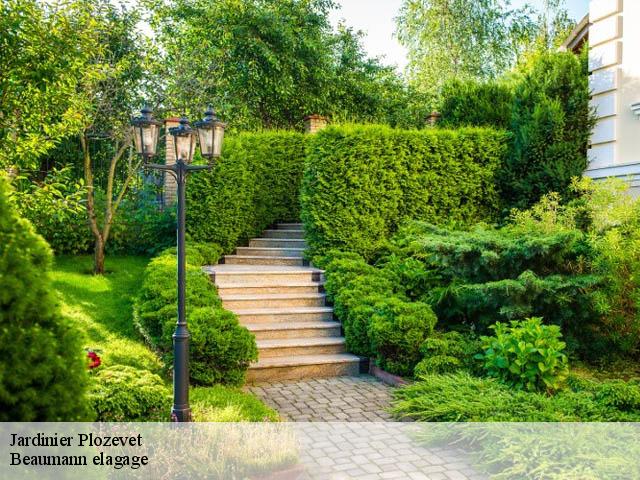Jardinier plozevet-29710 Beaumann elagage