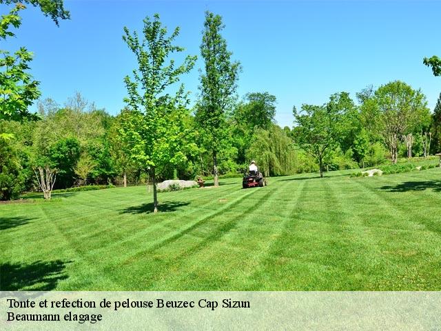 Tonte et refection de pelouse  beuzec-cap-sizun-29790 Beaumann elagage