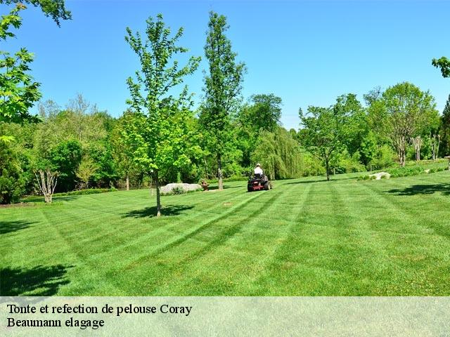 Tonte et refection de pelouse  coray-29370 Beaumann elagage