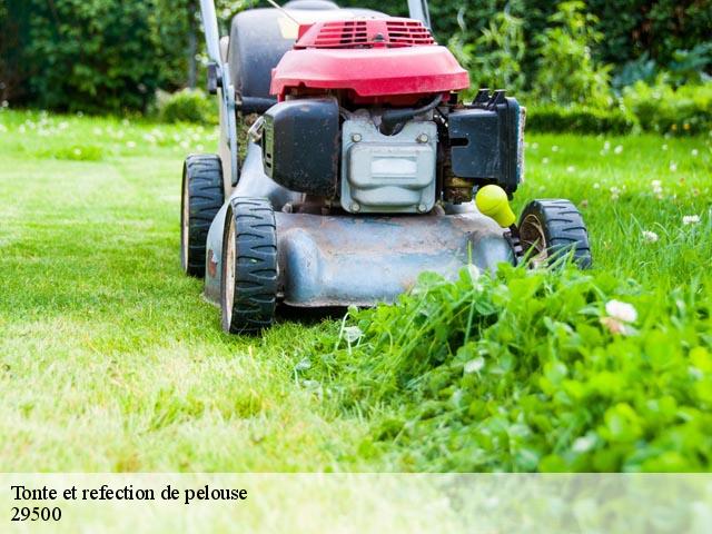 Tonte et refection de pelouse  29500