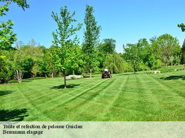 Tonte et refection de pelouse  guiclan-29410 Beaumann elagage