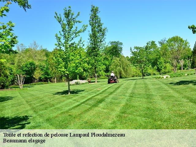 Tonte et refection de pelouse  lampaul-ploudalmezeau-29830 Beaumann elagage