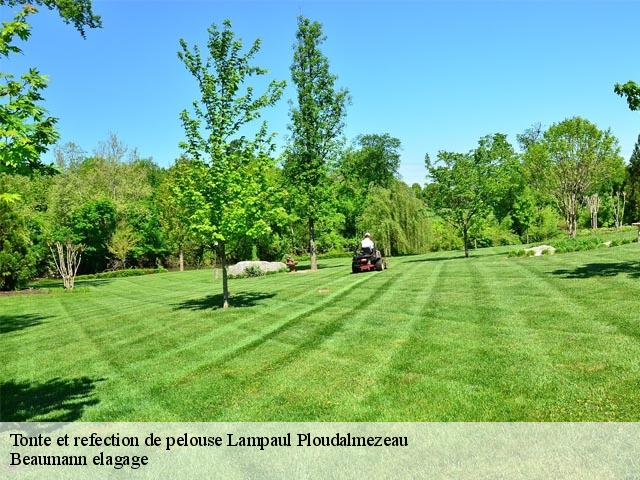 Tonte et refection de pelouse lampaul-ploudalmezeau-29830 Beaumann elagage