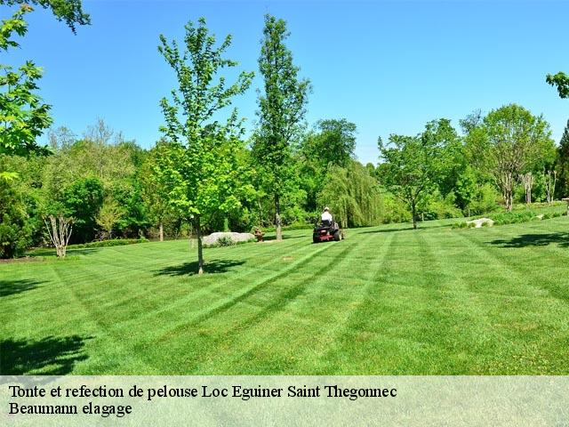Tonte et refection de pelouse  loc-eguiner-saint-thegonnec-29410 Beaumann elagage
