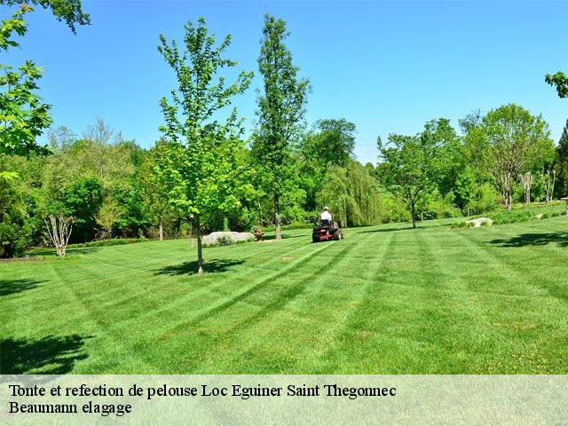 Tonte et refection de pelouse loc-eguiner-saint-thegonnec-29410 Beaumann elagage