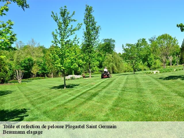 Tonte et refection de pelouse  plogastel-saint-germain-29710 Beaumann elagage